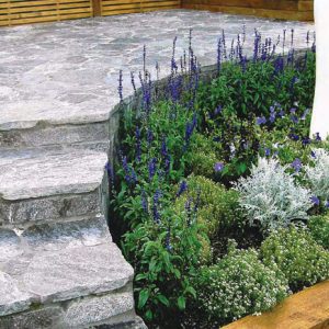 Alpine Split Schist Paving/ 300-500 MM