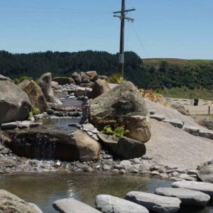 Alpine Garden Edge/ 200-300 MM - Image 8