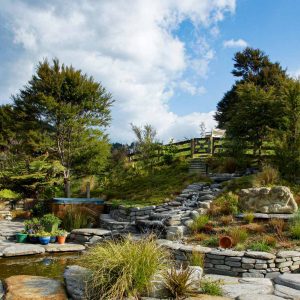 Alpine Stepper/ 300-500 MM - Image 15