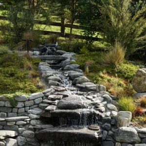 Alpine Stepper/ 300-500 MM - Image 16