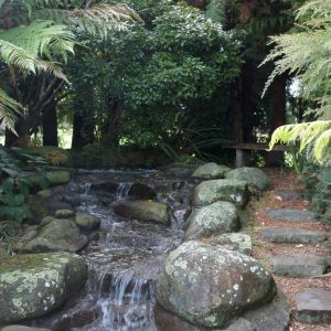 Alpine Stepper/ 300-500 MM - Image 19