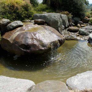 Alpine Stepper/ 300-500 MM - Image 10