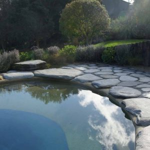 Alpine Stepper/ 300-500 MM - Image 11