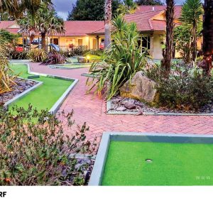 AllSportFlex DGN12 - Image 7